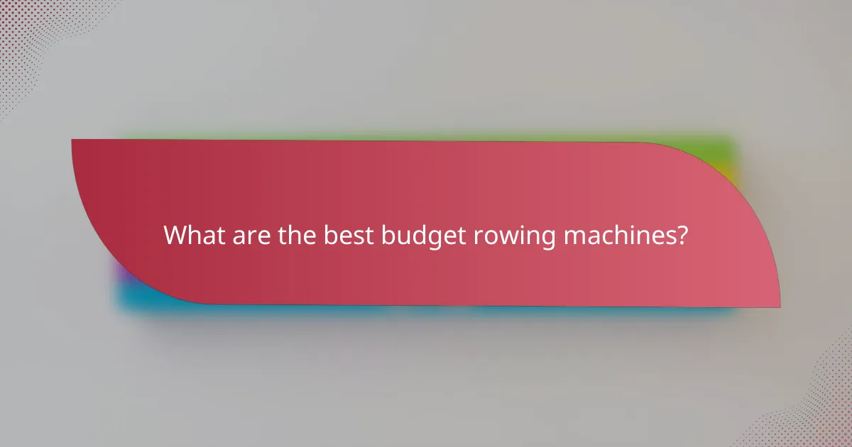 What are the best budget rowing machines?