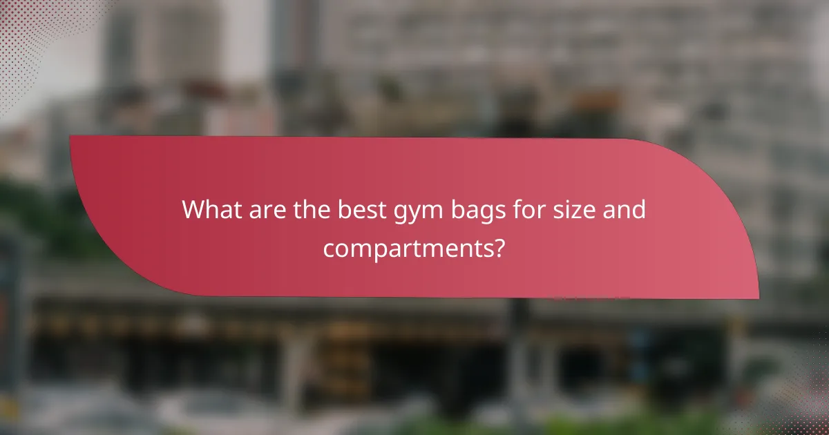 What are the best gym bags for size and compartments?